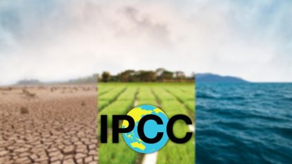L’allarmante Report dell’IPCC: “non c’è più tempo”